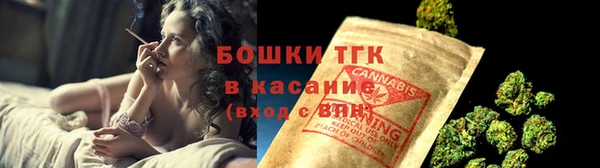 дмт Новозыбков