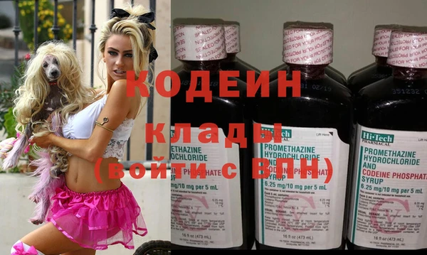 тгк Нея