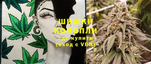 дмт Новозыбков