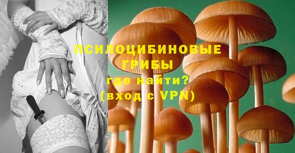 дмт Новозыбков