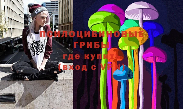 дмт Новозыбков