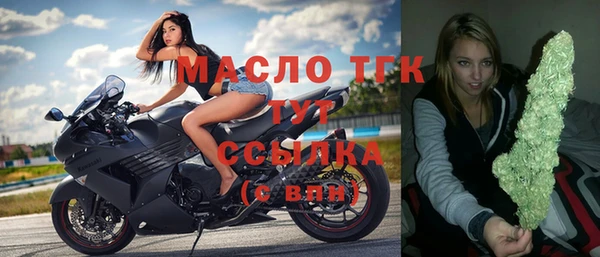 дмт Новозыбков