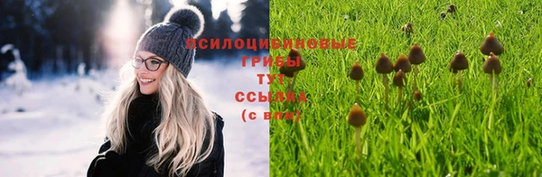 COCAINE Новодвинск
