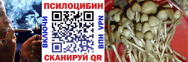 Галлюциногенные грибы прущие грибы  Осташков 